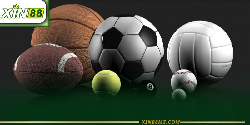 Thể Thao Xin88 - Sân Chơi Thể Thao Hàng Đầu 2026