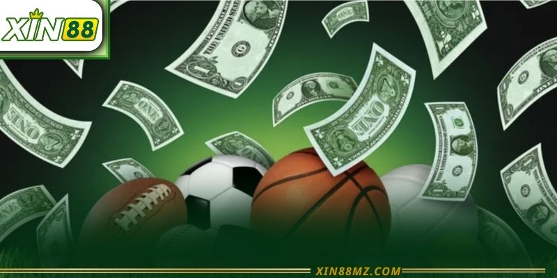 Thể Thao Xin88 - Sân Chơi Thể Thao Hàng Đầu 2026