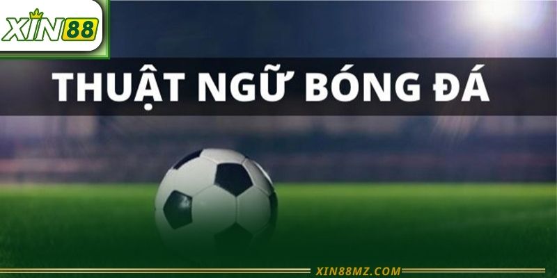 Thuật ngữ bóng đá xin88 - Nền tảng kiến thức 